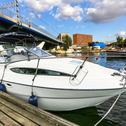 Bayliner245_18